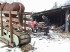 Horse Helps Split Wood Using Treadmill
