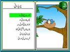 Chirya Raani (Urdu Poem for Kids) - چڑیا رانی