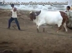 Jamal Cattle Farm Desi Bachra