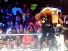 WWE Summerslam 2014: Randy Orton vs Roman Reigns