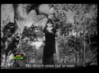 SUPERHIT OLD PAKISTANI PUNJABI FILM SAD SONGS(Risingformuli) (2)