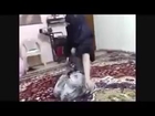 Arabic Girl Home Belly Dance Video