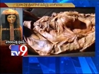 Evidence of Breast Cancer on 2500 year old Mummy - Tv9