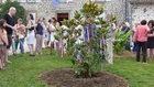Plantation du mai à Saint-Estèphe le 19 juillet 2014