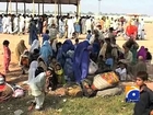 Grand Jirga to be held for IDPs: Fazlur Rehman-17 Nov 2014