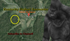 Bigfoot Encounter - Follow up Report