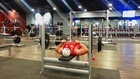 Sergi Constance  - Mass triceps Workout