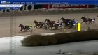 Racehorse runs over Photographer : terrible accident!