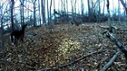 The most AMAZING Deer Hunting Video EVER!!! HD