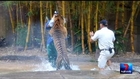 Veteran Animal Trainer Fights for His Life After Tiger Attack - Caught on Tape
