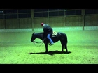 How an old man comes on his horse? Sonnys Ranch